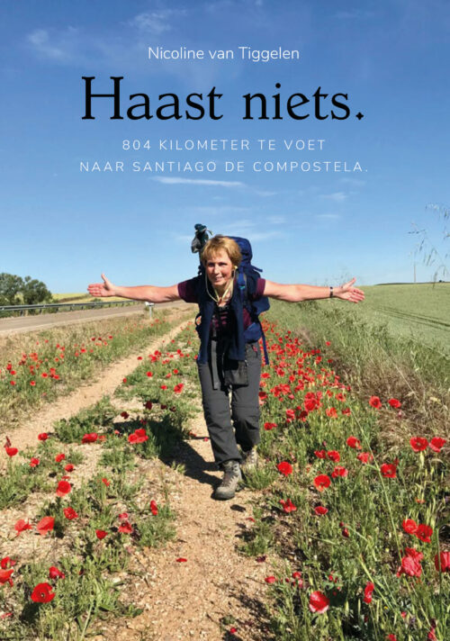 Haast niets | Te voet naar Santiago de Compostela